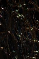 2013-11-23-11.12.07 ZS DMap.jpg
